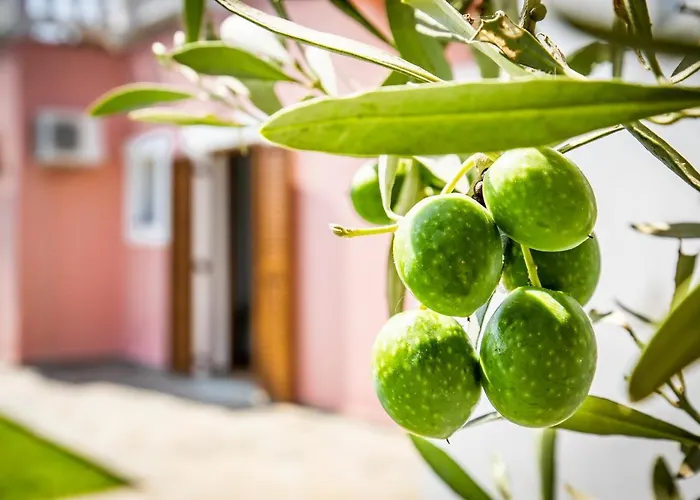 Villa Chrysalis Skopelos Town